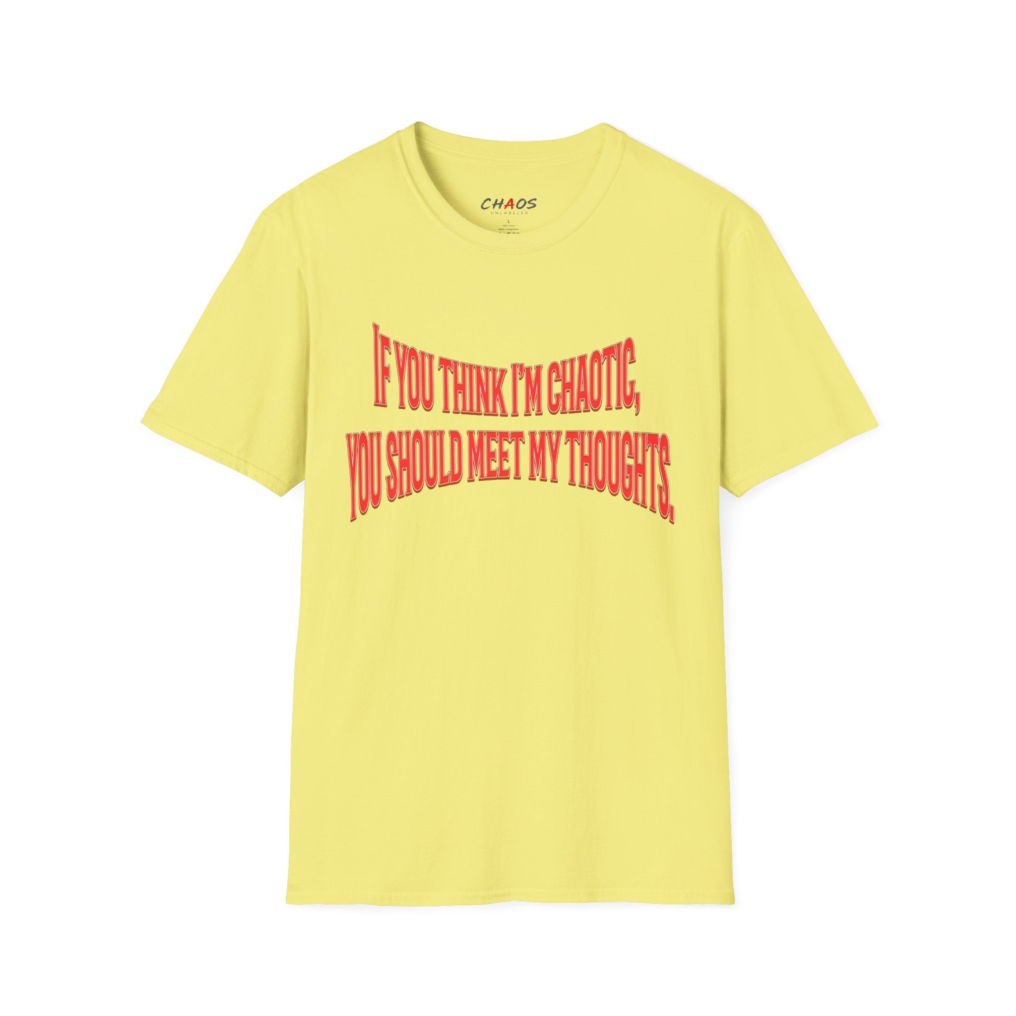 If You Think I’m Chaotic, You Should Meet My Thoughts T-Shirt