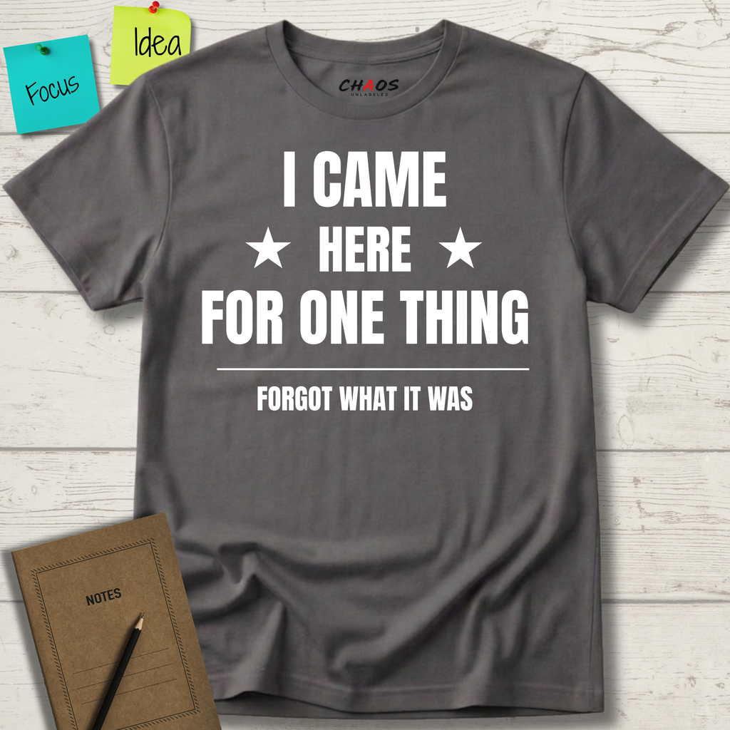 I Came Here For One Thing Forgot What It Was T-Shirt