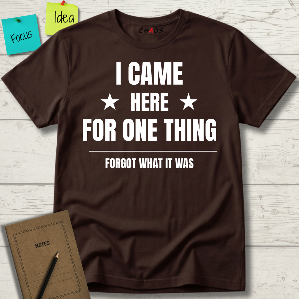 I Came Here For One Thing Forgot What It Was T-Shirt