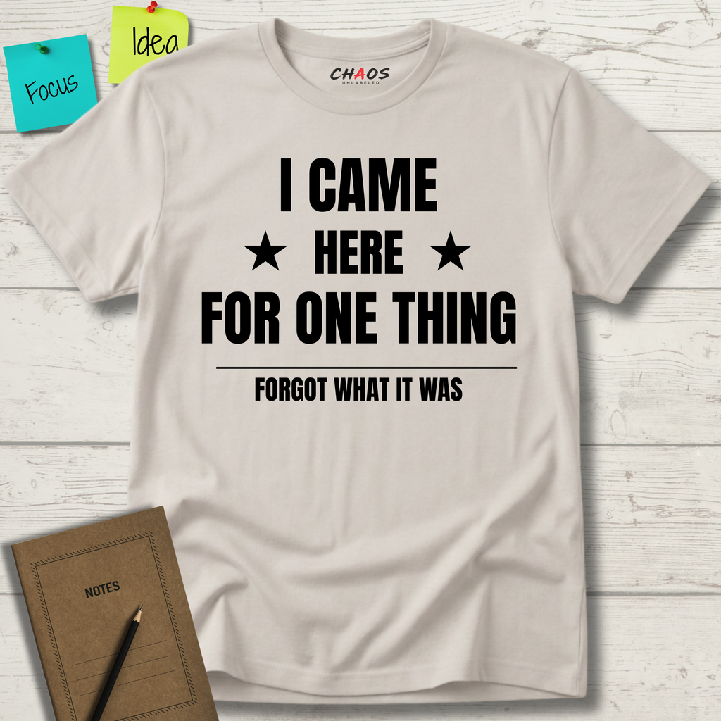 I Came Here For One Thing Forgot What It Was T-Shirt