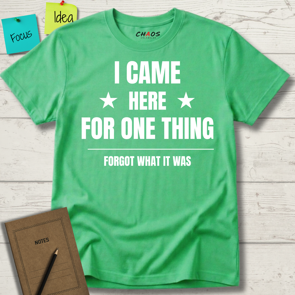 I Came Here For One Thing Forgot What It Was T-Shirt