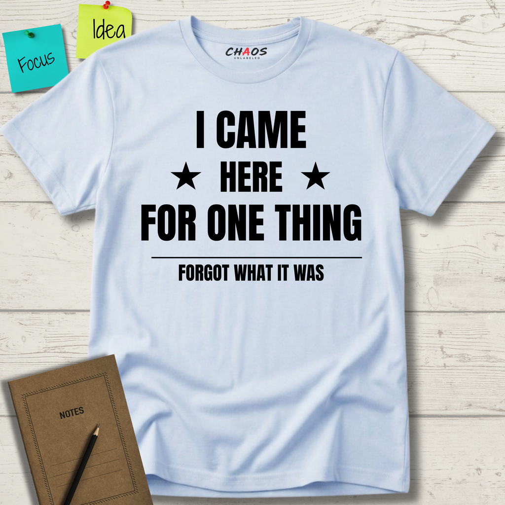 I Came Here For One Thing Forgot What It Was T-Shirt