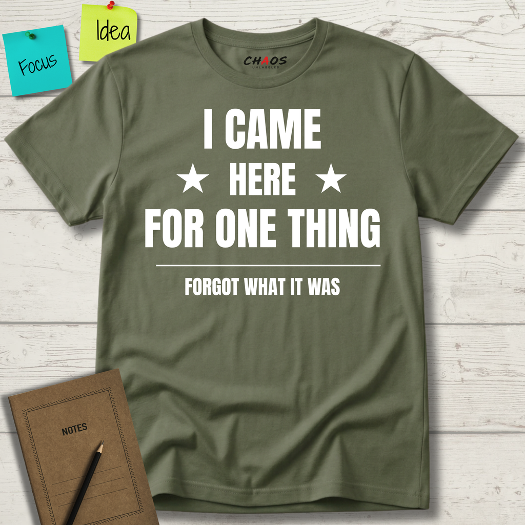 I Came Here For One Thing Forgot What It Was T-Shirt