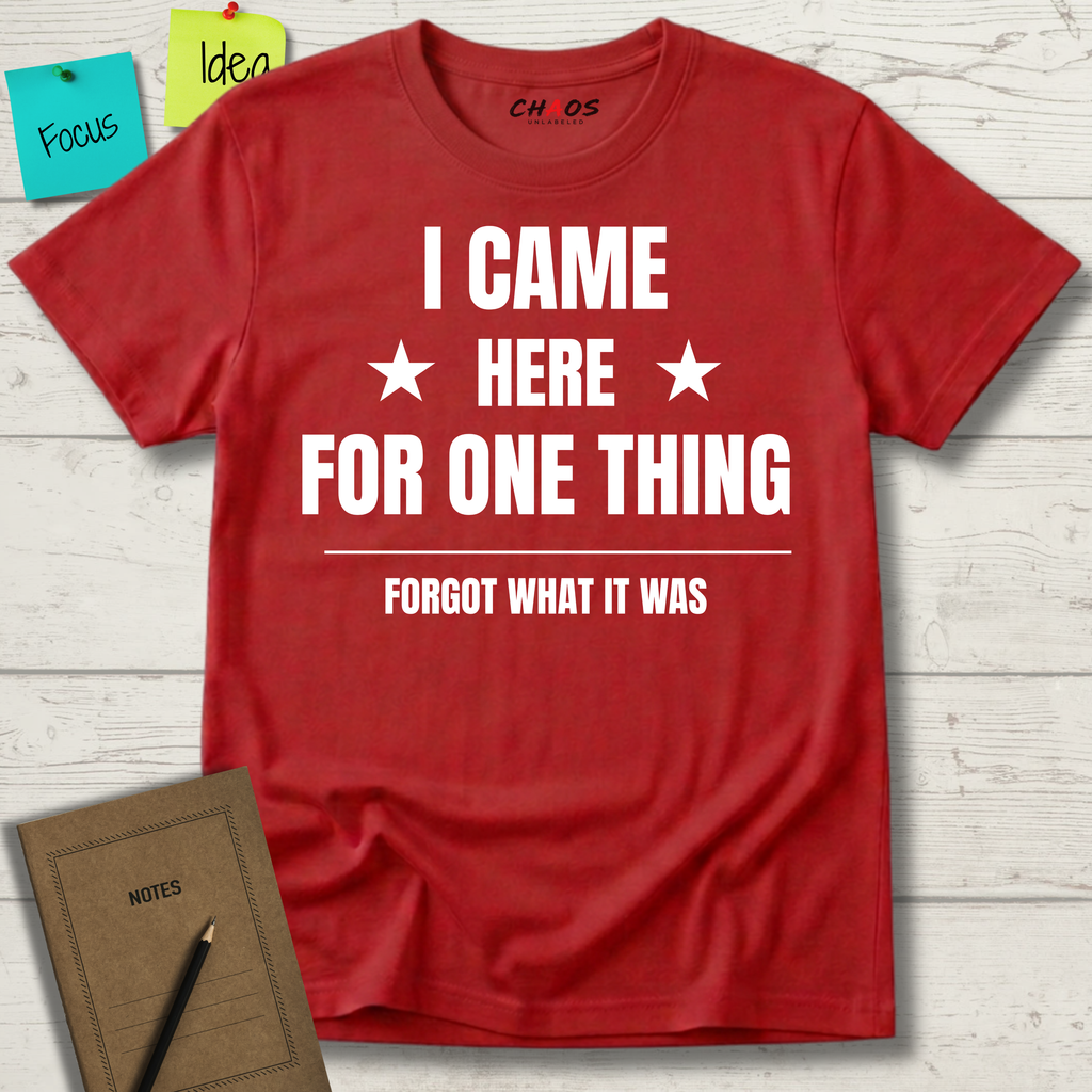 I Came Here For One Thing Forgot What It Was T-Shirt